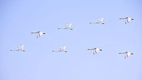 科幻射击RPG新作《Project S》预告 美女大战外星怪兽